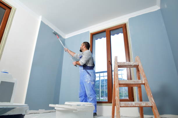 Best Environmental Consulting for Mold Prevention  in Oak Brook, IL
