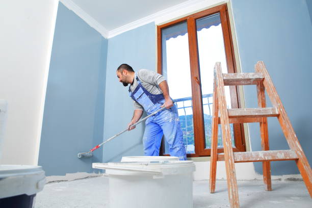 Best Basement Mold Removal  in Oak Brook, IL