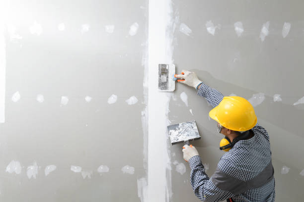 Best Mold Removal for HVAC Installations  in Oak Brook, IL