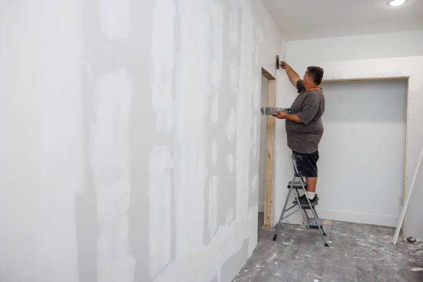 Best Industrial Mold Remediation  in Oak Brook, IL