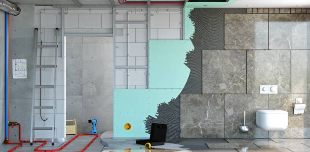 Trusted Oak Brook, IL Mold Removal Experts