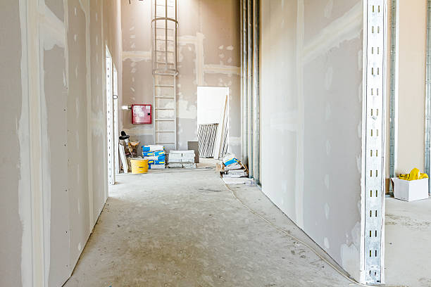 Best Forensic Mold Investigation  in Oak Brook, IL