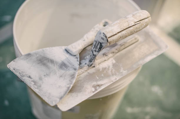 Best Mold Remediation for Healthcare Facilities  in Oak Brook, IL
