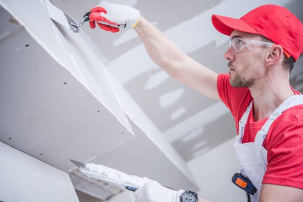Best Real Estate Mold Inspection  in Oak Brook, IL