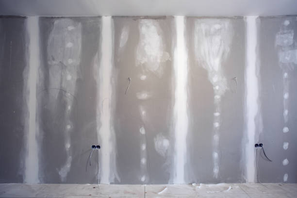 Best Black Mold Removal  in Oak Brook, IL